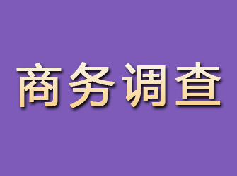 鄱阳商务调查